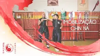 Imobilização Chin Na - Kung Fu Louva a Deus 7 Estrelas