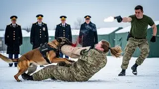 &ldquo;Careful&rdquo; She Took the Bullet When Bullies Shot the K9 &mdash; Three 4-Star SEAL Generals Sealed the Base