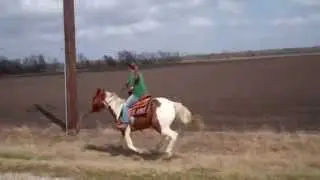 Amazing Galloping Horse
