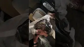 Готовка на гриле в помещении на лодке? Ninja Foodi делает это возможным! #готовка #гриль #аэрогри...