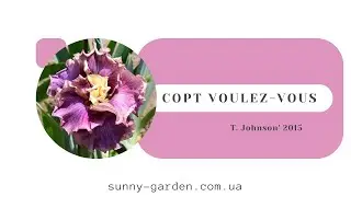 Сорт VOULEZ-VOUS, T. Johnson' 2015