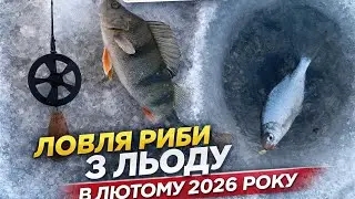Мороз –12°! ОКУНЬ і ГУСТІРКА РВУТЬ БЕЗМОТИЛКУ | Ловля з льоду у лютому 2026