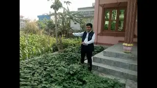 Beautiful kitchen garden | Local vegetable in home | Promote Local products
