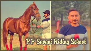 P. P. Savani Horse Riding School Surat Intro | Full Videos On JD Entertainment Channel
