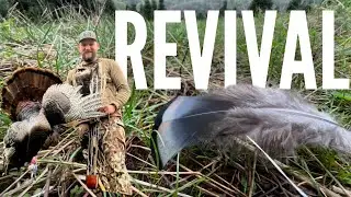 MOUNTAIN TURKEY HUNTING|Traditional Bowhunting|THE STICKBOYS