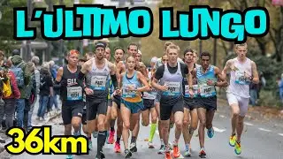 L'ULTIMO LUNGHISSIMO - L'allenamento più duro prima della maratona