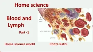 Home science | Physiology | Blood | PGT | TGT @homescienceworld5625