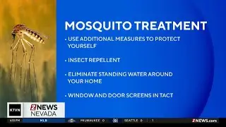 Mosquito treatment in Carson City