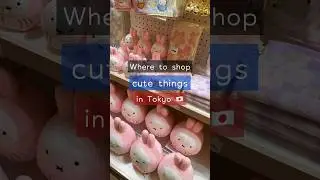 Where to shop cute things in Tokyo 🇯🇵 (Studio Ghibli, Miffy, & . . more!)