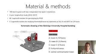 Persistence of viable but nonculturable Legionella pneumophila statein hospital water systems