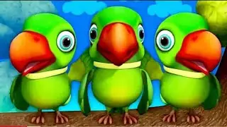 मिट्ठू मिट्ठू 🦜 मैं तोता 🦜 मैं तोता 🦜 #parrot #trending #talkingparrot #vedio