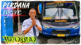 Line Perdana W7085UO Surabaya - Purwokerto - Bumiayu
