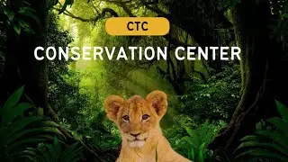I Never EXPECTED This LION Encounter | CTC Conservation Center