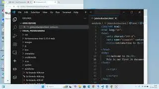 Visual Programming JavaScript 1
