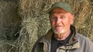 - LEGENDARNI ĆIRO IZ ŠIPOVA PRIPREMIO SEDAM HILJADA BALA ZA ZIMU