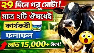 ২৯ দিনে গরু মোটা! মাত্র ২টি ঔষধেই জাদুকরী ফলাফল | গরু মোটাতাজাকরনে সহজ পদ্ধতি 