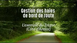 Gestion des haies de bord de route dans le Trégor (Côtes d'Armor - Bretagne)