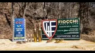 .22 vs .223 AR-15 Range Day