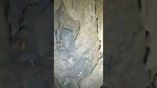 Our First Vertical Cave! 50&rsquo; drop!