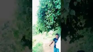 marl dance