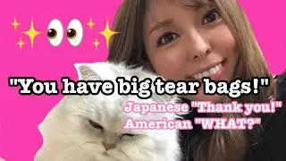 5 WEIRD COMPLIMENTS Japanese girls like to hear😂【Cultural difference】