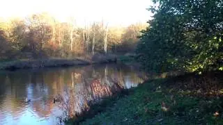 Sony Xperia HD video Local Beauty Spot  November 2014