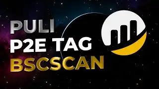 PULI Ranks 12th P2E Token On BSCScan! $PULI Patent + Trademark Pending | Play To Earn Crypto News