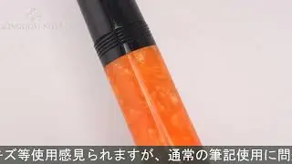 DELTA デルタ 万年筆 ドルチェビータ ミディアム バーメイル M