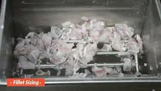 Sizing and cleaning machine for fish slices