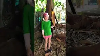cocoa tree leave, Costa Rica