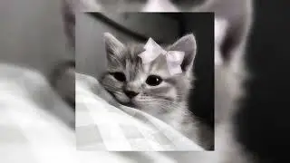 Пошлая Молли - Банда Крыс (speed up)