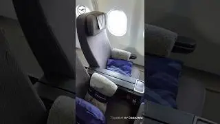 Обзор премиум-эконом-класса Lufthansa