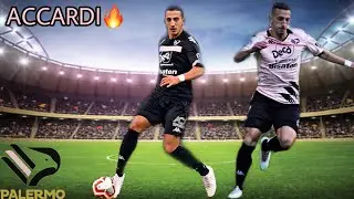 Focus on ANDREA ACCARDI 🔥⚽
