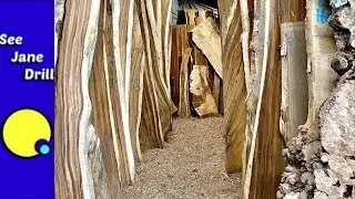 Top 3 Places To Buy Lumber/Woodworkers Source