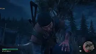 Days Gone 004