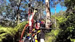 Zipline- Illawarra Fly Treetop Adventures