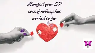 Manifesting your SP when nothing has worked | Manifesting basics | Law of assumption