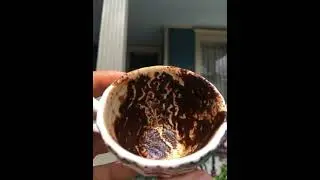 فنجان واسرار وخبايا ليك مستنياك ☕