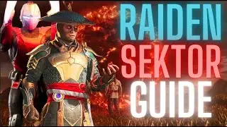 THIS IS THE BEST RAIDEN TEAM!