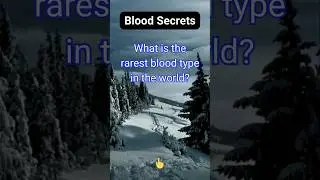 What is the rarest blood type in the world?