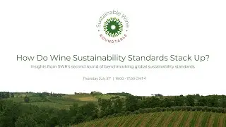 How Do Wine Sustainability Standards Stack Up?