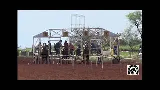 NIPPUR-HIP&Oacute;DROMO DE POSADAS 4-9-22