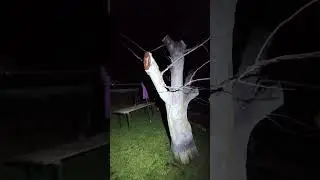 барматушники не перестают удивлять
