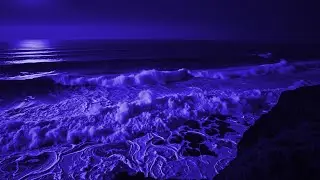 Ocean Waves at Midnight for Insomnia Relief and Deep Rest 🌙