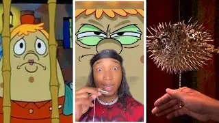 Mr Puff CONSPIRACY THEORY solved years later