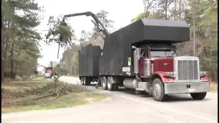 Ice storm debris removal 