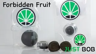Forbidden Fruit CBD - Legal Hash Oline - JustBob ENG