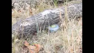 Explore Florida: A Geocaching Challenge