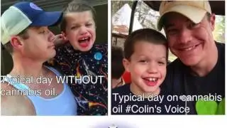 The Marijuana Solution Podcast Dale Jackson Colin's Voice Cannabis Oil