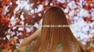 Linea Anticaduta Daw & Company